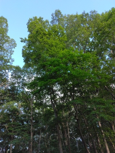 IMG_20240810_165543.jpg