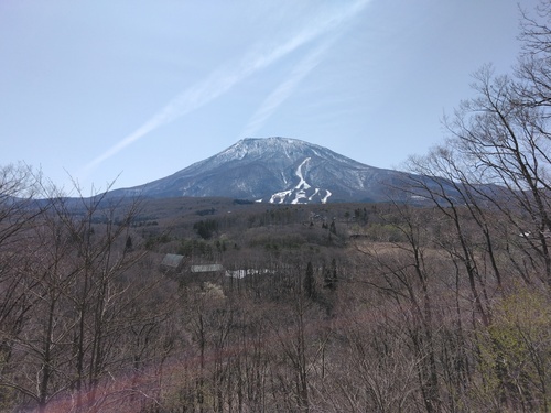 IMG_20250421_135249.jpg